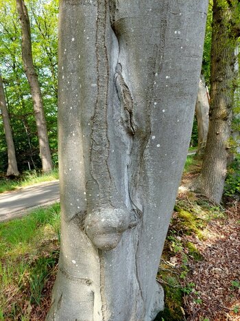 20230522_134920.jpg