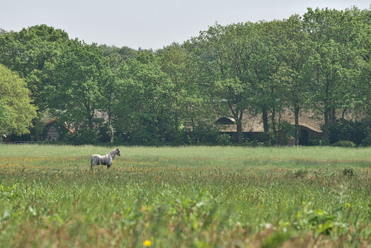 DFX_1506.jpg