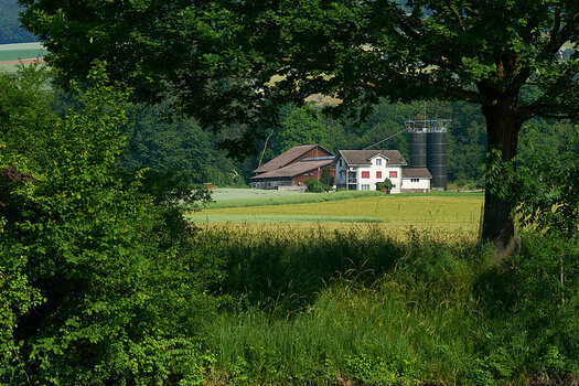 D700_DSC_9350.jpg D700_DSC_9350.jpg
