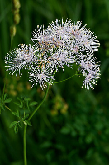 D700_DSC_9359.jpg D700_DSC_9359.jpg