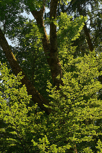 D700_DSC_9363.jpg D700_DSC_9363.jpg