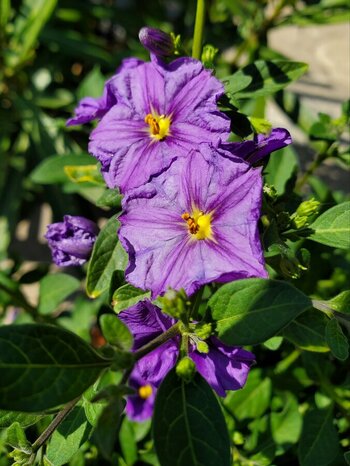 20230611_162600.jpeg