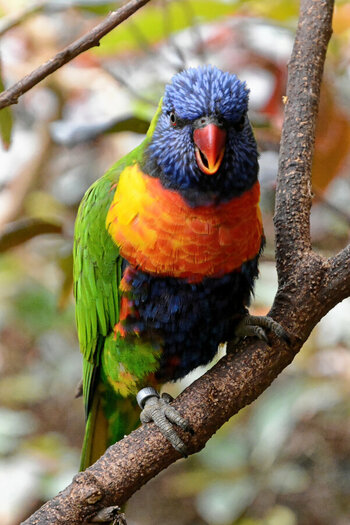 DSC_9665_DxO.jpg