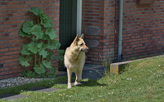 DFX_1546.jpg