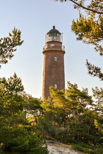 20230611_064345_nf.jpg
