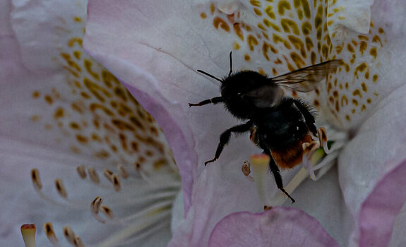 DSC_2726.jpeg