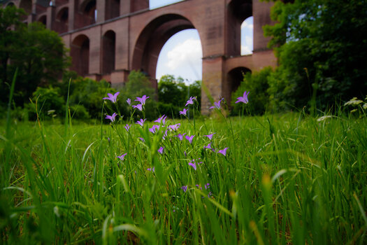 750_4678.jpg