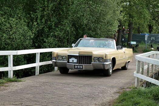 DFX_1437.jpg