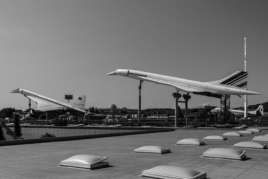 comp__DSC4416.jpg