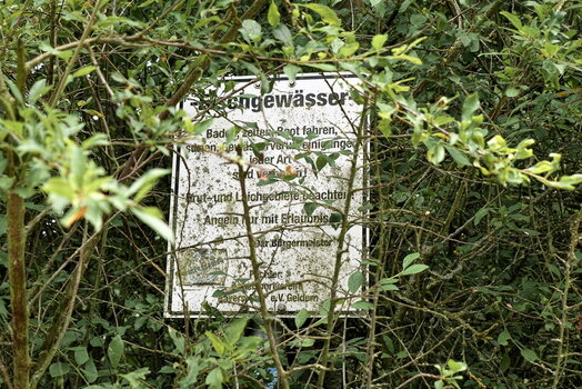 TSF 2023 - 40.jpg
