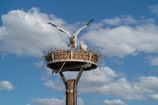 TOM_0214-Bearbeitet-web.jpg
