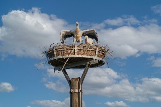 TOM_0215-Bearbeitet-web.jpg