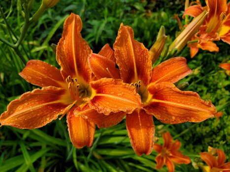 2023-06-25_08-47-39.jpg