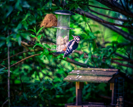 DSC_2451.jpg