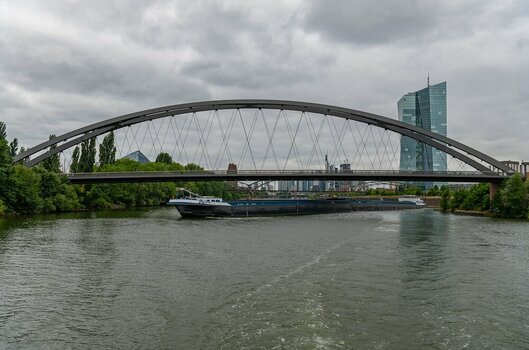 comp__DSC4709.jpg