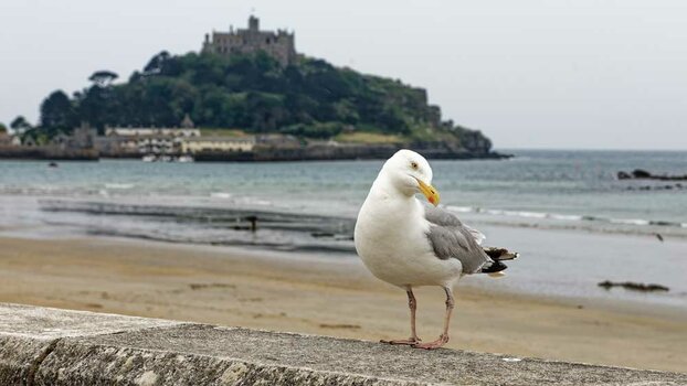 St-Michaels-Mount-(1)_2023__DxO.jpg