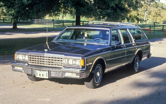 1000017762.jpg