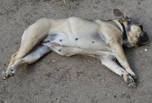 DSC_0002_01.JPG DSC_0002_01.JPG