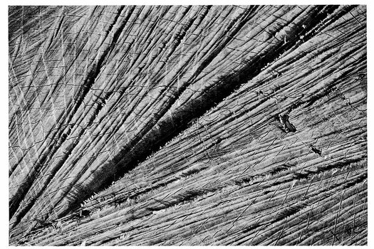 comp_Holzstruktur 20202sw.jpg