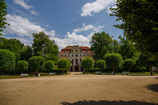 750_5342.jpg