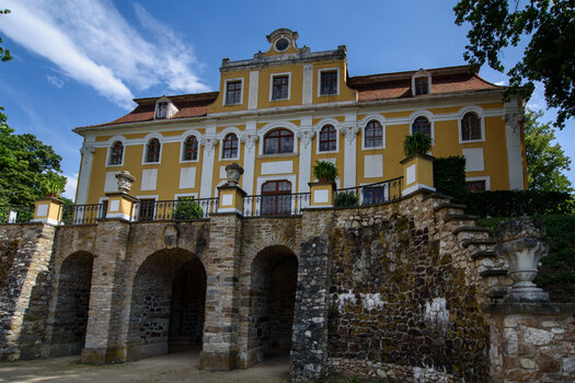 750_5346.jpg