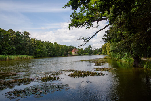 750_5040.jpg