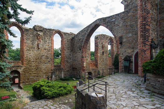 750_5232.jpg
