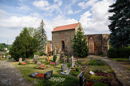 750_5236.jpg
