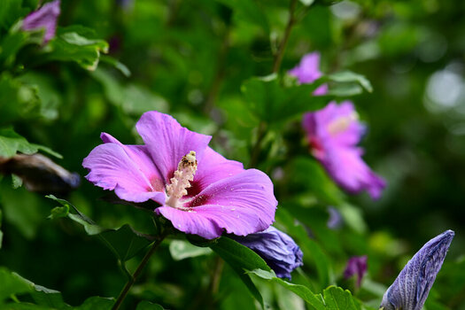 DSC_5213_2.jpg