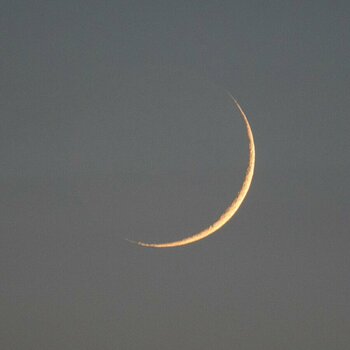 ROB_3755 Mond 4.jpg