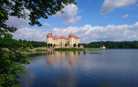 _20230723_130341.JPG