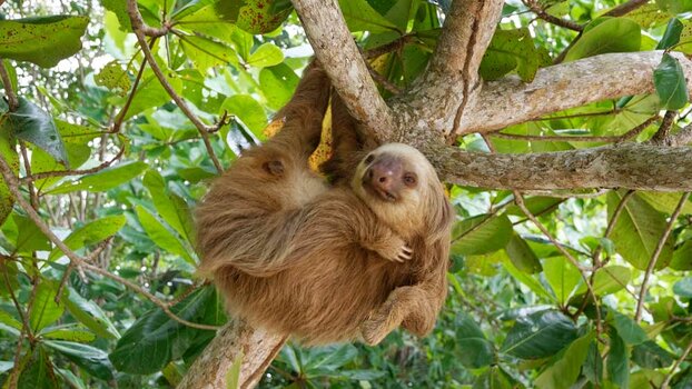 CRI_Parque-Nacional-Cahuita-(127)_DxO.jpg