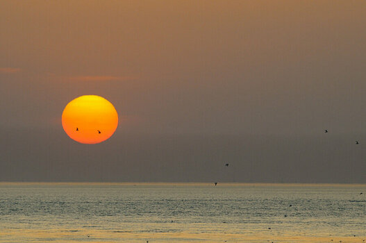 DSC_4792 France Sunset.jpg