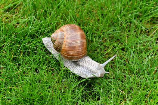 DSC_4022_DxO.jpg