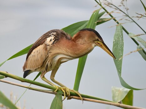 NZ9_9018_1.jpg