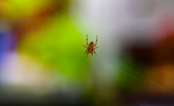 comp_DSC_4823.jpg