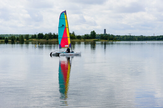 750_5524.jpg