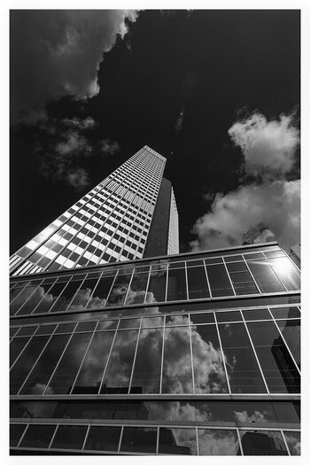 _DSC9564sw.jpg