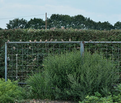 TSF 2023 -067.jpg