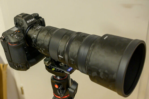 Z30_0137.jpg
