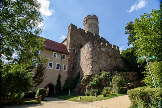 750_5569.jpg