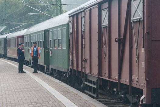 _7021486.jpg