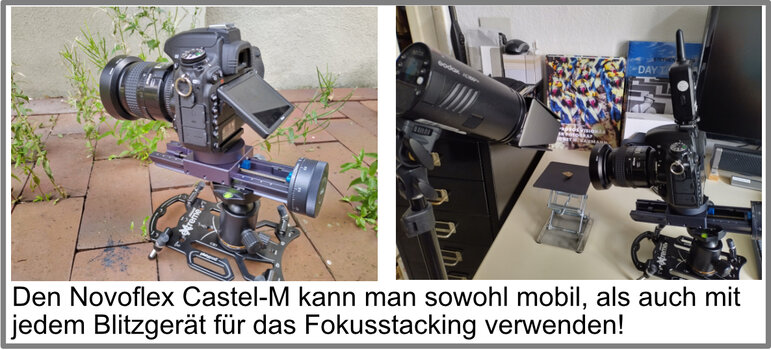 Novo-02.jpg