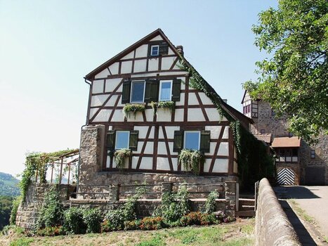 2023-08-11_10-07-34.jpg