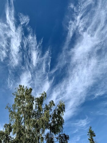 IMG_6064.jpeg