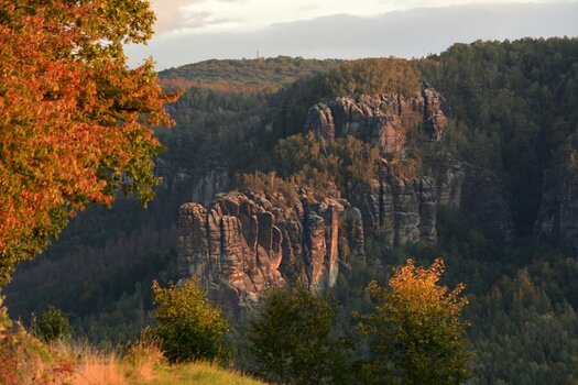 DSC_0546_00001 (2)n.jpg