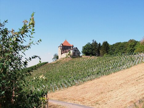 2023-08-13_09-25-23.jpg