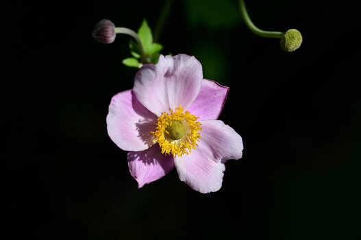 DSC_11317.jpg
