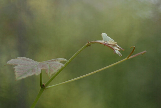 DSC_0010_01.JPG