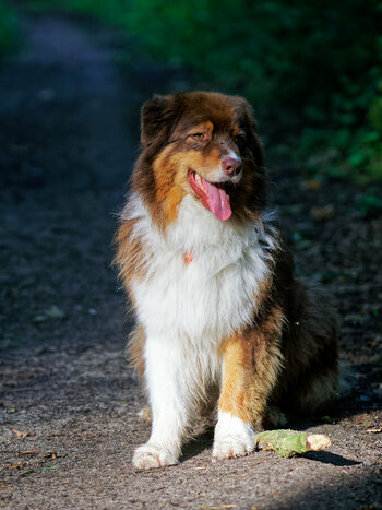 DSC02066-Marlowe.jpg